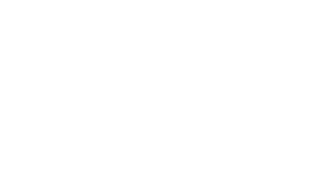 Provider 4